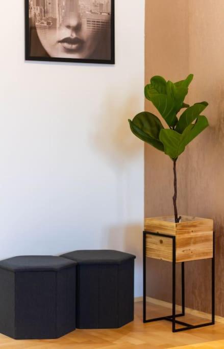 Appartamento Gozsdu White Raven 3 - Terrace And Free Underground Parking Budapest Esterno foto